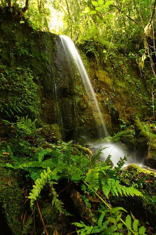 Yucuma Lodge El Soberbio Eksteriør bilde