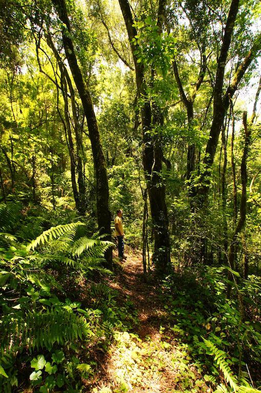 Yucuma Lodge El Soberbio Eksteriør bilde